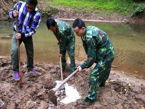 �_�������ҕ�_�����p��{���Ĕz��Ŀ