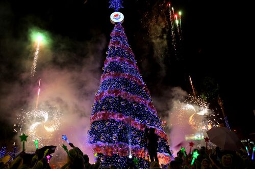 臺(tái)灣唯一“櫻花圣誕樹”點(diǎn)亮(圖)