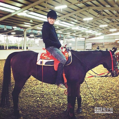 ���������״����_��С�޵��_������VCR��B�_��