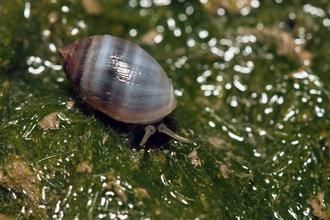 �_���l(f��)�F(xi��n)�¼o���N��Ͱ�ڶ��ݚ������Ͱ���D��