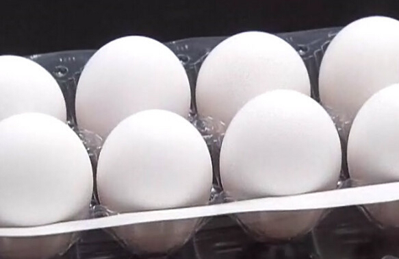 臺灣高溫熱死雞,蛋價飆升,茶葉蛋真成貴重品。(臺媒圖) 臺灣高溫熱死雞,蛋價飆升,茶葉蛋真成貴重品。(臺媒圖)