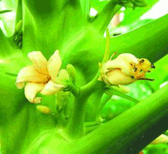 �_(t��i)���ߜ؁��u���uҲ���� ľ���_�����λ�