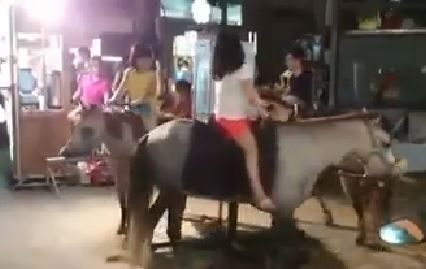 �_�����Aҹ���@Ҋ�����w���Dľ�R���W������̫���������_ý�D��