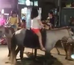 �_�����Aҹ���@Ҋ�����w���D(zhu��n)ľ�R���W(w��ng)������̫���̡����_ý�D��