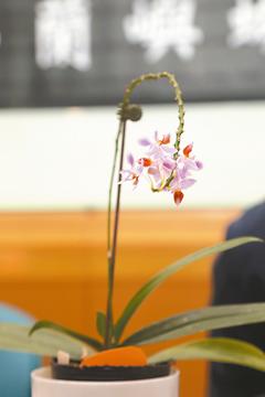 �_���ɹ���W�ƽ��m�������g�a ϵȫ������