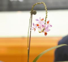 �_���ɹ���W(xu��)�ƽ��m�������g�a ϵȫ������