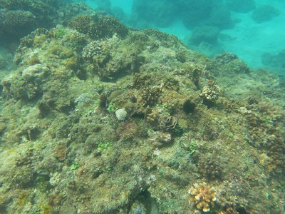 �_������ɺ����Ⱥ������rֵ40�|�_�ţ��D��