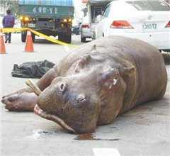 �_�����Ǻ��R��ˤ����