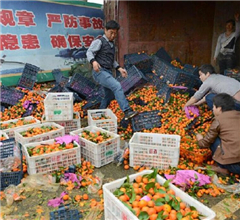 ·����؛܇�ȷ�؛���ۃr�u�f��ɰ����