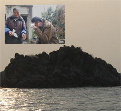 ��������ʧۙ31�� ��������̩���u�N��