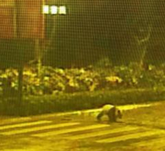 �Ĵ�ӳ����^�l(f��)�F(xi��n)����؈ ���ڌ�����ۙӰ