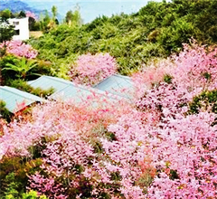 �_�������p����ȥ̎����������_ ���ǻ����_��