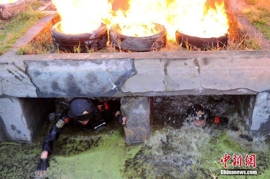 �侯�ؑ�(zh��n)����8���_ِ ������ꠚ����(y��n)Ӗ(x��n)�x��Ӣ