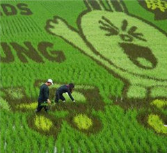 ȫ������LINE�ʵ��� ���|�����ǈ�