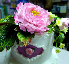 �_��W����ĵ���ǻ����� ���������������˷Q��