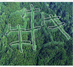 �ɶ�ɽ�^(q��)�F(xi��n)���ء��ġ����ΈD�� ԭ����i