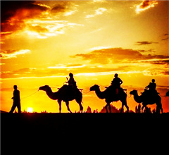 �ػͬF(xi��n)����� ��ϼ�?d��ng)����@��ɫ�L(f��ng)��