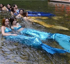 �����Ͷ��ӡ������~���̌W�_�� �οͳ˴����^���~��