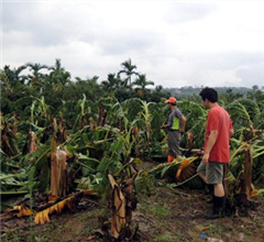 �_�L���K���_���M��ȫ�_ �r�I�pʧ��6�|��ɏ��K��