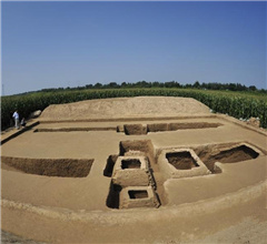 �ӱ��S�l�F�|�hĹ�� �u�K���y����