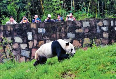 游客們為“壽星”拍照。
