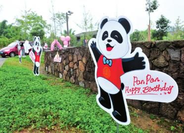 為盼盼慶生,基地布置得很溫馨。