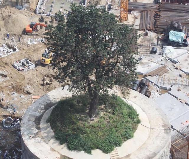 ��������f�Ǹ��� ��400�f���o(h��)323�q�Ř�(�D)