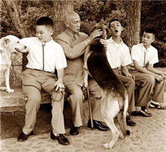 �Y��ʯ����Ƭ�����B�����������