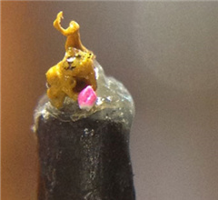 �_����̼�ꐷ��@�̡�������С������ �H1����