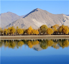 ���������������ز���