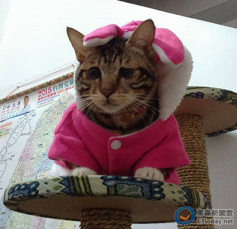 ��������ܟo�������DƬ��Դ���_��ETtoday�|ɭ���ƾWվ��