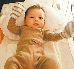 ����ȶ�̥���ӝM�����ع� �������۳���