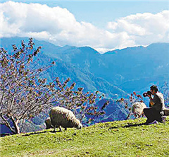 �_(t��i)�u���ģ����e�r(n��ng)�I(y��)�愓(chu��ng)�� �ؽ����������