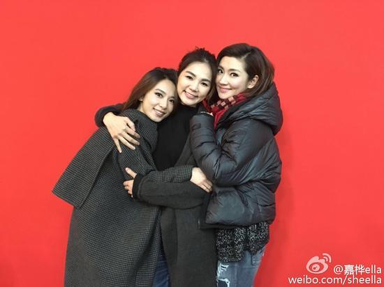 SHE�t���_��