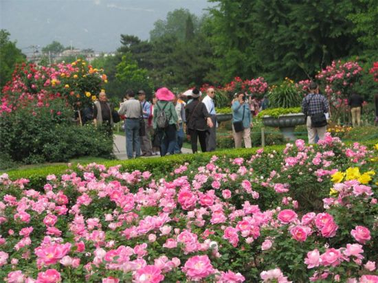 �����¼����౱�� �����¼���Ȼ��300���q