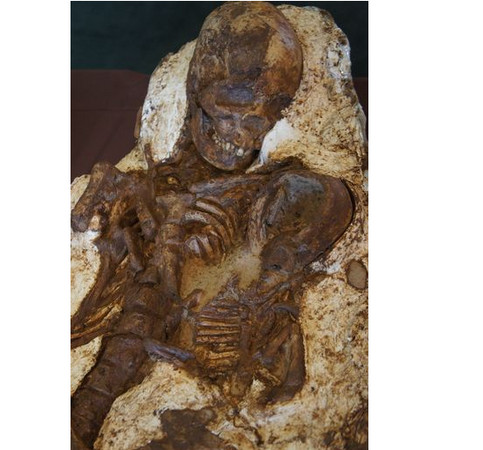 �_�г�����������ʯ ĸ���냺������ҕ5000��