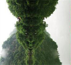 �ɶ�һ��W����üɽ���� ����