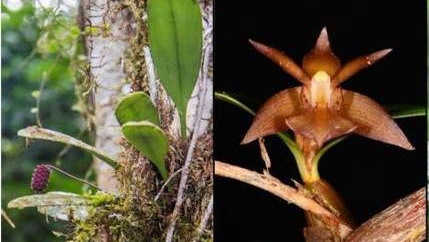 �����ˆT�����ذl(f��)�F(xi��n)4���Ї���ӛ䛷N