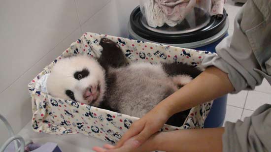 ٛ�_����؈�F�F�^���﹝����Ů��������˼