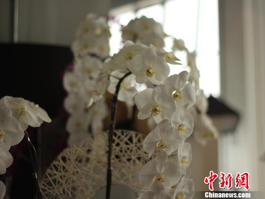 �������ɰ��m�������xӳ�_���y�F(tu��n)����ꑌ������