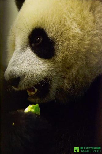 �w��ЙC�r(n��ng)�����A�д�С������ȡ�