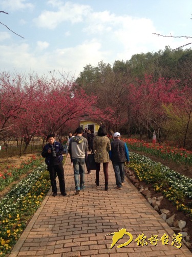 臺(tái)商張秋琳 臺(tái)商張秋琳