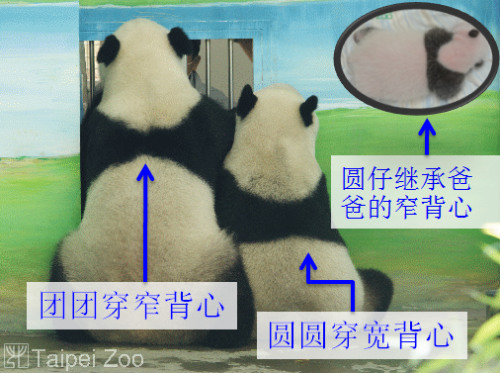 ���F�F�������A�A���ı����ڰ�Ҳ��ͬ��