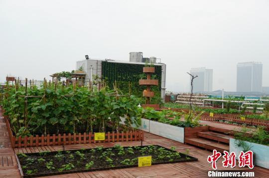 ����r����Ч�������˴�B����픡����O�� �z