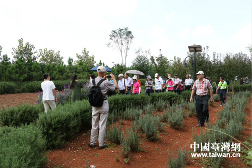 ��ʯ���_���r�񄓘I�@���^