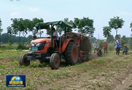 ���r�� ������ ��ƪ�¡�ץ���c �a�̰� �Ƅ��l��ȫ�����d