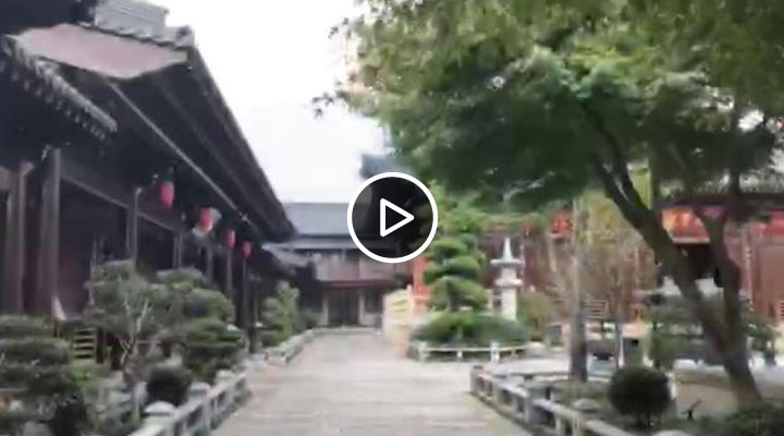 �V�����Ļ��zַ ׷���Ϻ��vʷ֮��