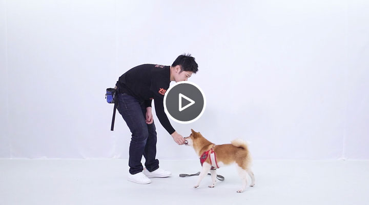 ǰ��ѩ�T���o���Pʺ���B��