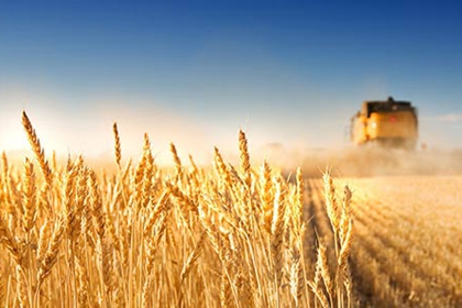 �����̱�����֮Ҫ���^�m(x��)��ȫ��pؚ����Ҫؕ�I(xi��n)