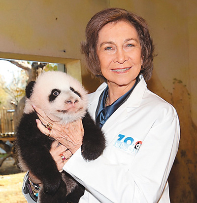 西班牙王后索菲亞到馬德里動物園看望大熊貓“星寶” 西班牙王后索菲亞到馬德里動物園看望大熊貓“星寶”